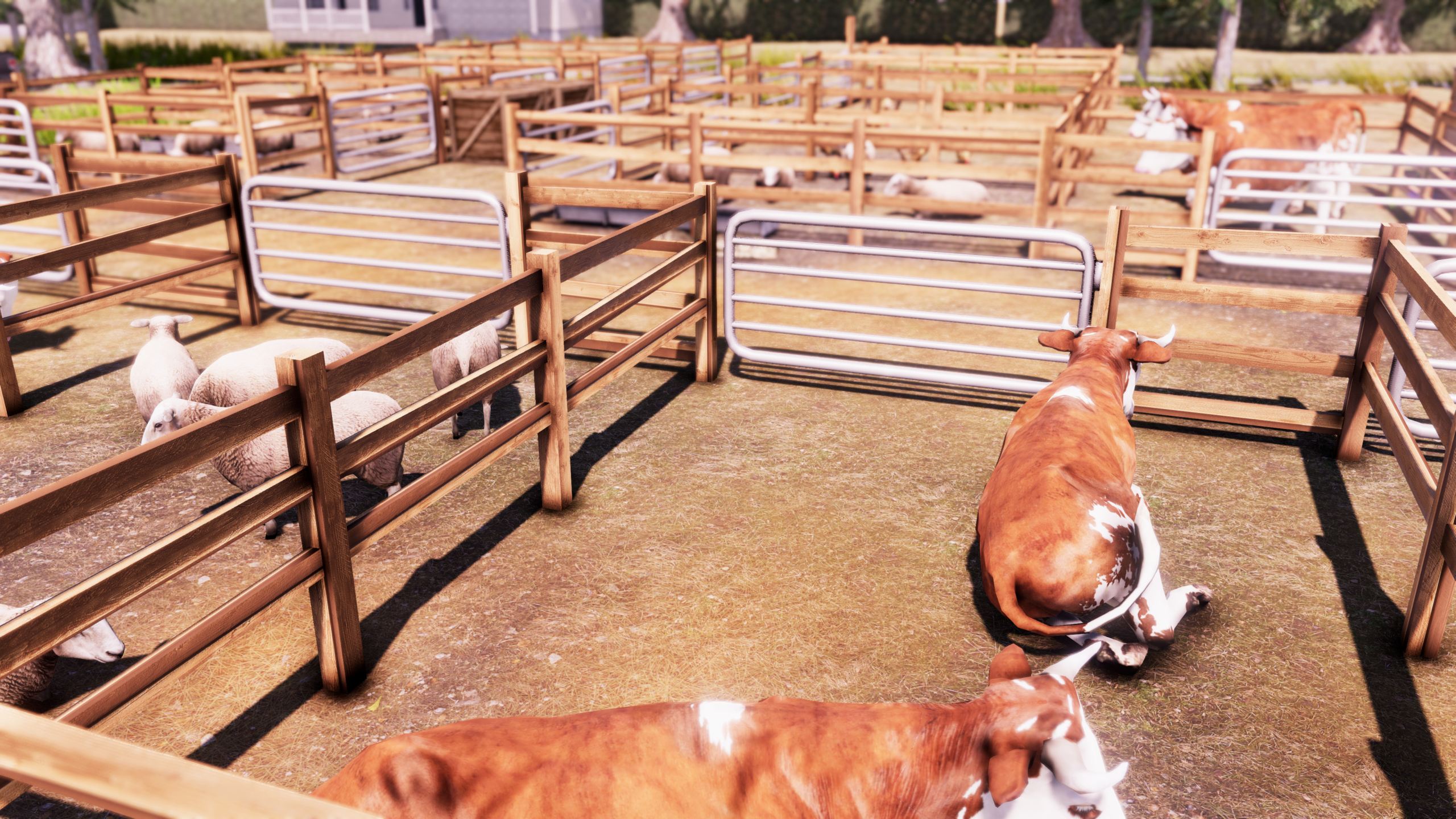 Real Farm - Imagen 16